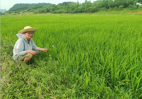 年入200余萬元！看80后IT高管如何靠惠農網跨界生財